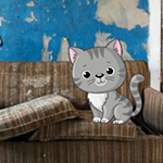 Abandoned House Innocent Cat Escape BigEscapeGames