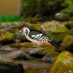 Adventure Alphapets Forest Escape WowEscape