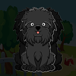 Affenpinscher Dog Escape Games2Jolly