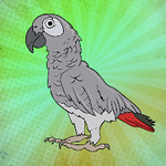 African Grey Parrot Escape Games2Jolly