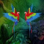 Aid The Couple Macaw BigEscapeGames