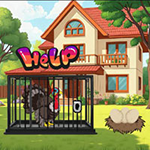 Aid Turkey To Preserve Egg WowEscape