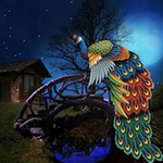 Alluring Peafowl Escape Games2Rule