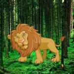 Amazon Lion Forest Escape Games2Rule