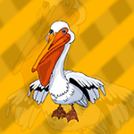 American White Pelican Escape Games2Jolly