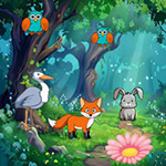 Animals Attend Jungle Meetup WowEscape