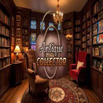 Antique Collector Hidden247