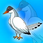 Arctic Tern Rescue Games2Jolly