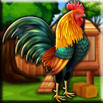 Asil Chicken Escape From Hen House Games2Jolly