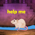 Assist The White Rat BigEscapeGames