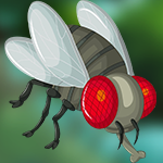 Attractive Fly Escape Games4King