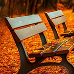 Autumn Backyard Escape Games2Rule