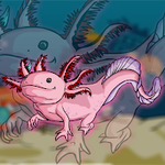 Axolotl Rescue Games2Jolly