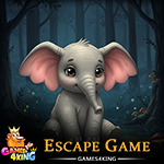 Baby Brown Elephant Rescue Games4King