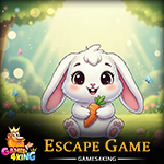 Baby Bunny Escape Games4King