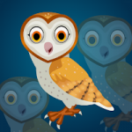 Barn Owl Escape Games2Jolly