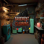 Basement Cleaning Hidden247