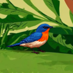 Beak Wing Escape Games2Live