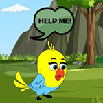 Bird Looking For Baby WowEscape