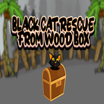 Black Cat Rescue From Wood Box Games2Jolly