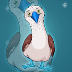 Blue Footed Booby Escape FastrackGames
