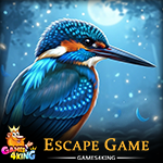Blue Kingfisher Escape Games4King