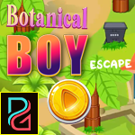 Botanical Boy Escape Games4King