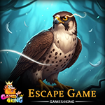 Brave Falcon Escape Games4King