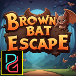 Brown Bat Escape Games4King