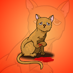 Brown Kitten Rescue Games2Jolly