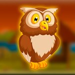 Brown Owl Rescue From Cage Games2Jolly