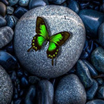 Butterfly Fantasy Land Escape BigEscapeGames