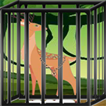 Caged Antler Escape Games2Live