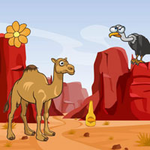 Camel Looking For Her Young WowEscape