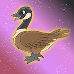 Canadian Goose Escape Games2Jolly