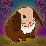 Cashmere Lop Escape Games2Jolly