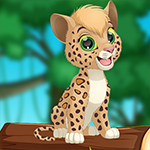Cheerful Leopard Escape Games4King