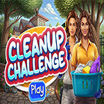 Cleanup Challenge Hidden4Fun