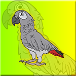 Clever Grey Parrot Escape From Cage Games2Jolly