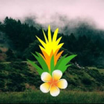 Cloudy Waterfall Forest Escape BigEscapeGames