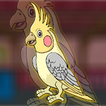 Cockatiel Bird Escape FastrackGames