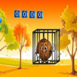 Coco Shell Rescue Games2Live