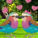 Colourful Bird Pair Escape BigEscapeGames