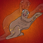 Colugo Escape Games2Jolly
