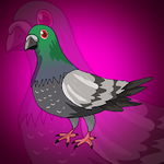 Columbidae Escape FastrackGames