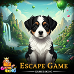 Cute Blackwhite Puppy Escape Games4King