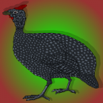 Cute Guineafowl Escape Games2Jolly