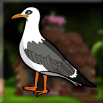Cute Seagull Escape Games2Jolly