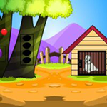 Cute Seal Escape Games2Live