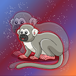 Cute Squirrel Monkey Escape Games2Jolly